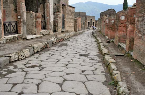 Pompeii wheely bin