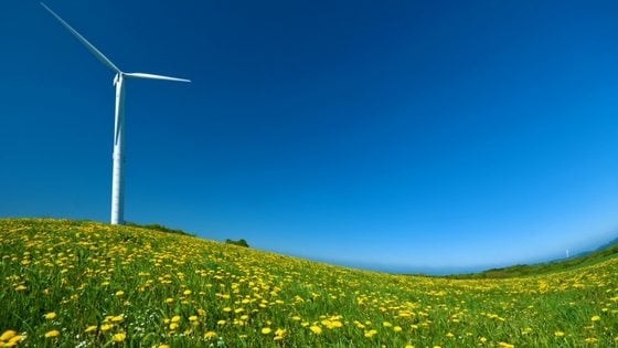 wind turbine