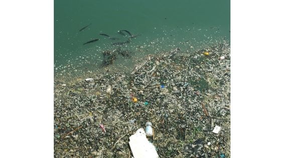 Waste reduction ocean plastic