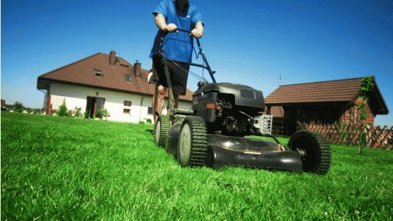 mowing the lawn