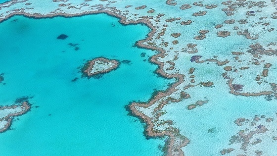 what does pollution do to the great barrier reef