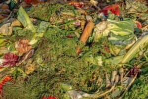 compost – types of compost in solid waste management