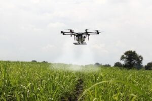 drone in agriculture