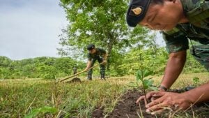 tree planting for earth day 2020