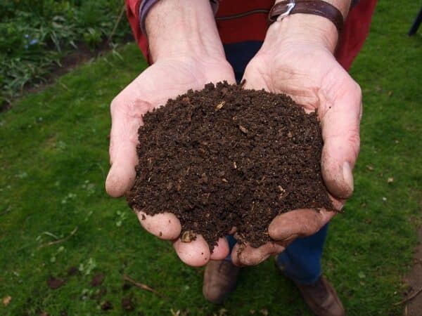 types of composting