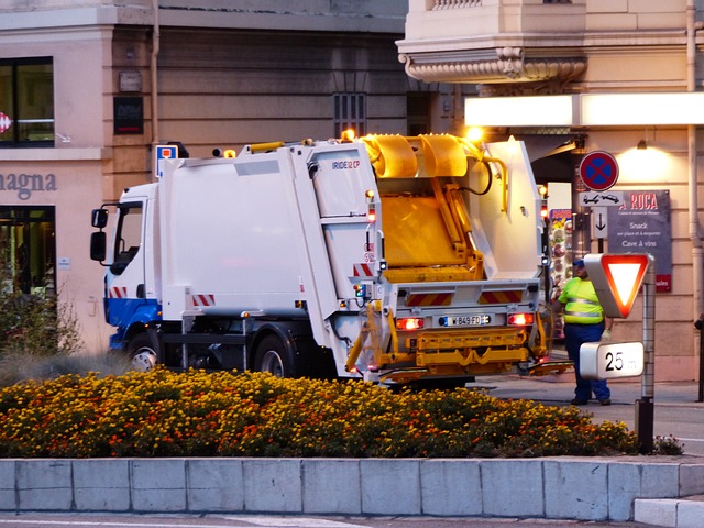 citywide waste management