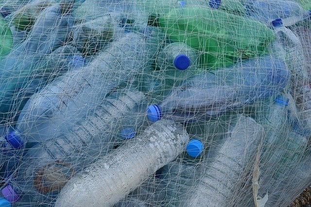 plastic bottle recycling