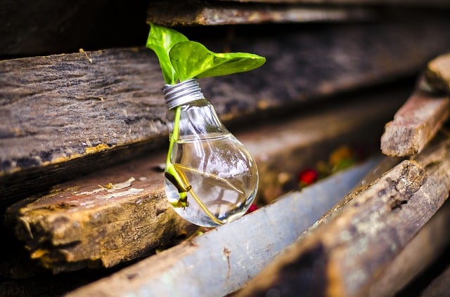 recycling incentives - recycled light bulb