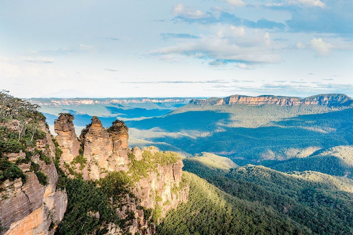 blue mountains bin collections