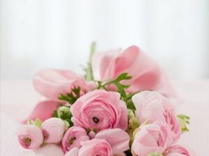 another bouquet of pink roses