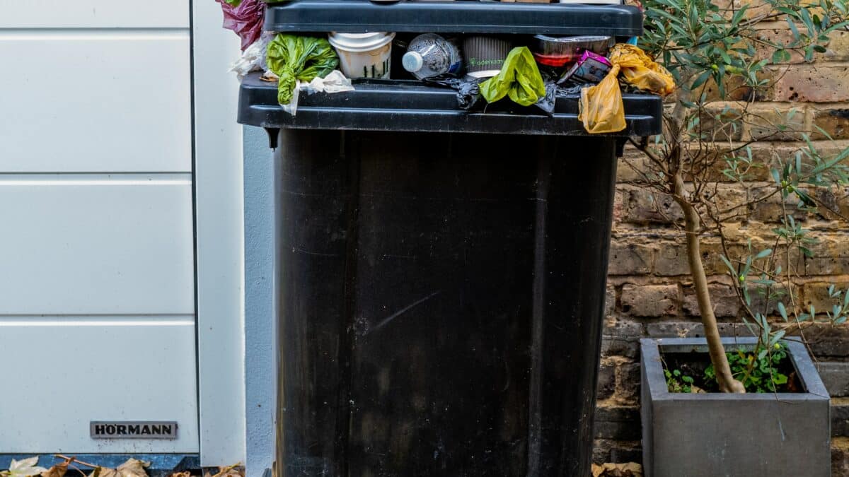 inner west bin collection