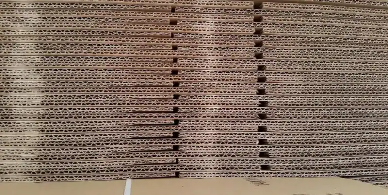 composting cardboard