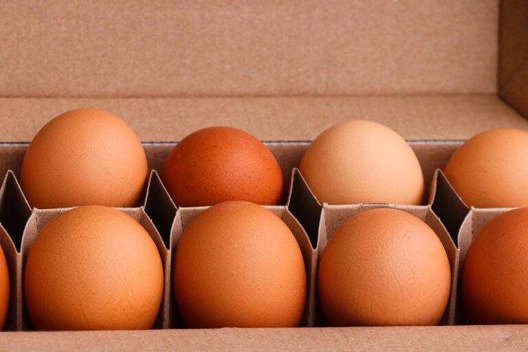 reusable food packaging australia: featured image