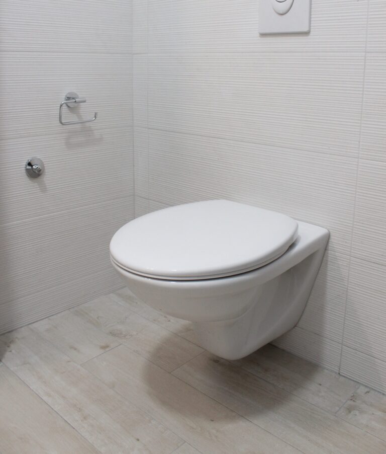 toilet - featured image bidets vs toilet paper