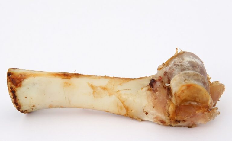 bones shells recycling