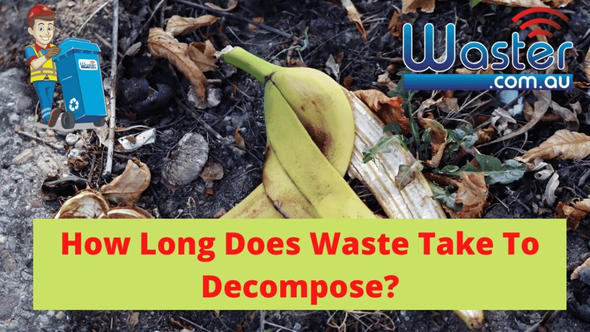 How Long Does Landfill Take To Decompose