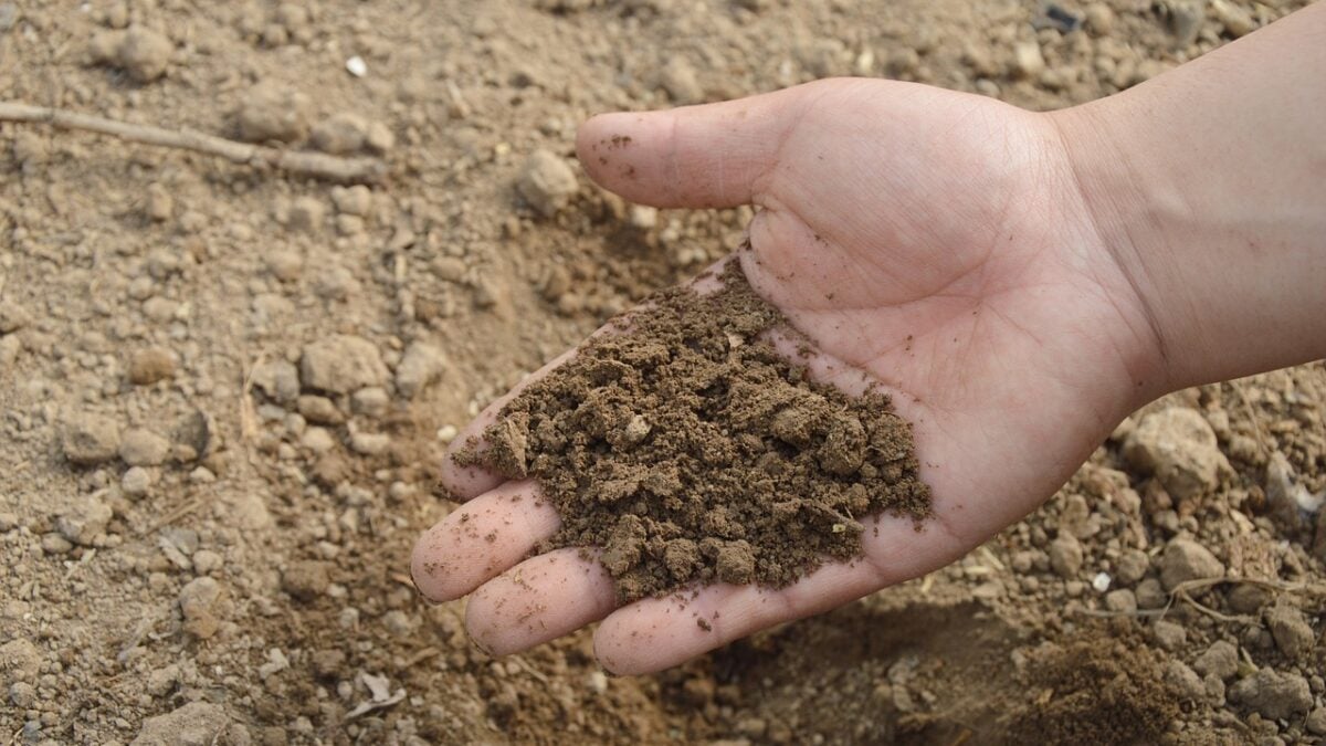 can you put sand in compost?