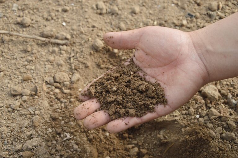 can you put sand in compost?