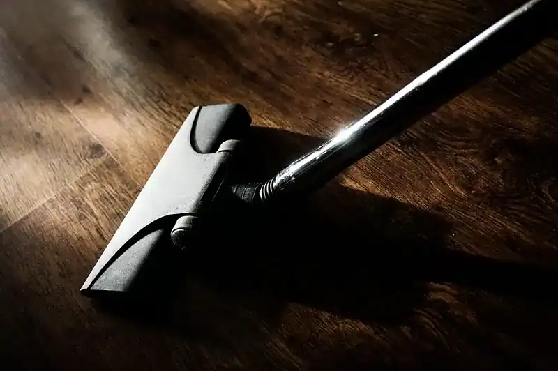 Can You Put Vacuum Cleaner Dust in the Compost? Essential Guide
