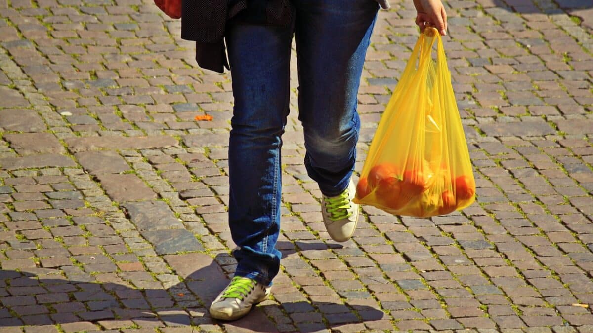 paper vs plastic bags