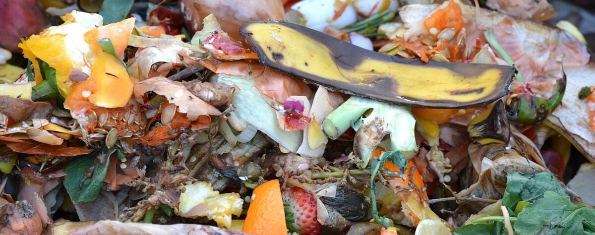 what waste can be made into compost?