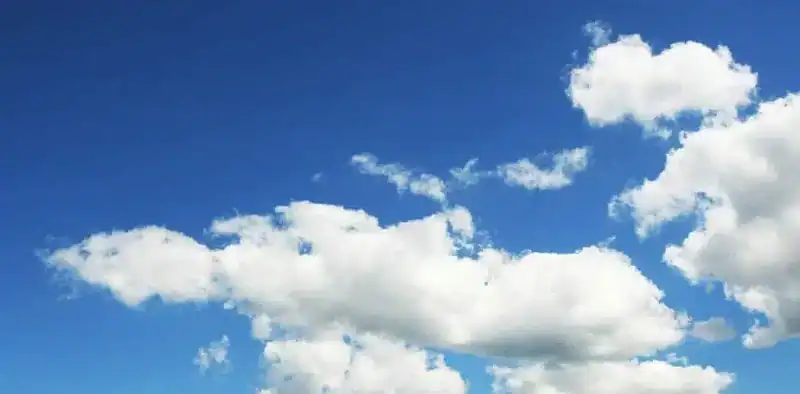 rubbish bin collection days featured image