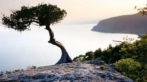 best waste management companies