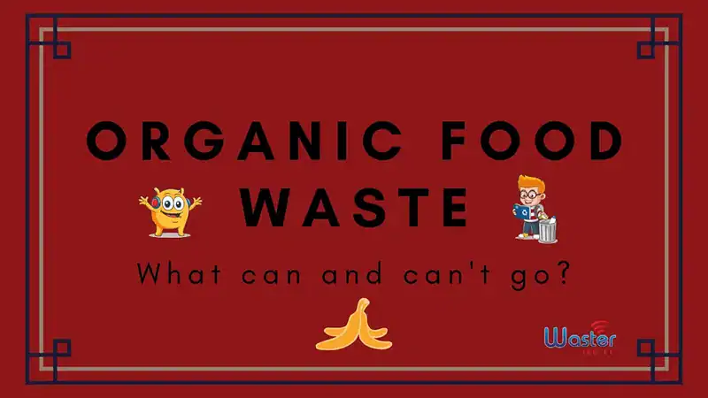 what can go in organic food waste featured image