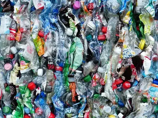 can-plastic-affect-fertility