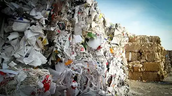 history of recycling featured image