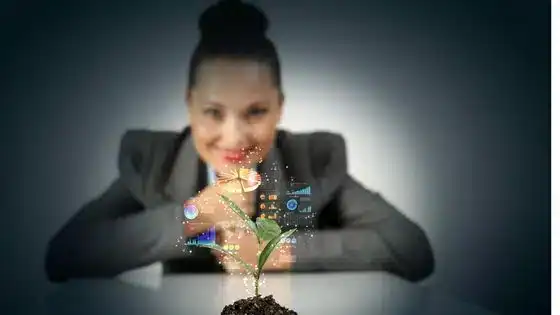 ipswich waste services