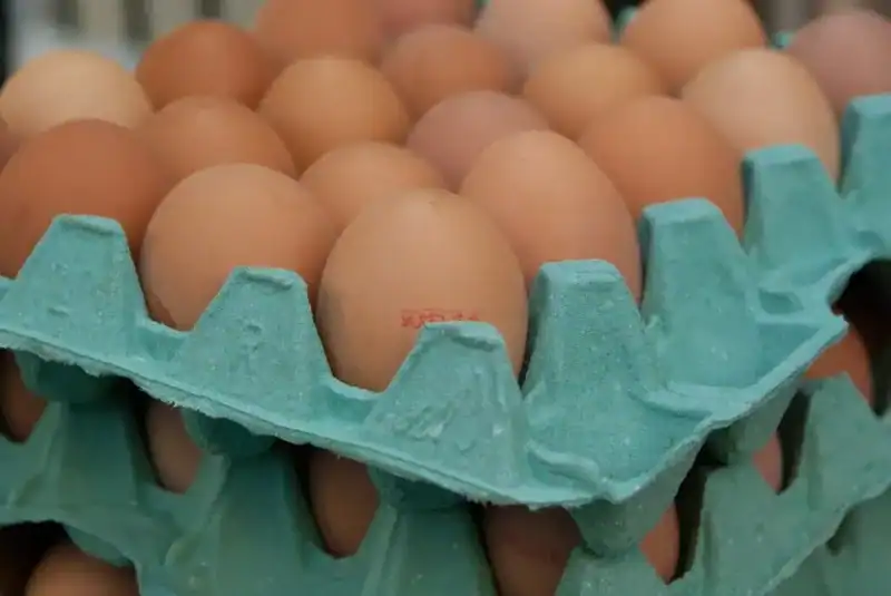 can egg cartons be recycled