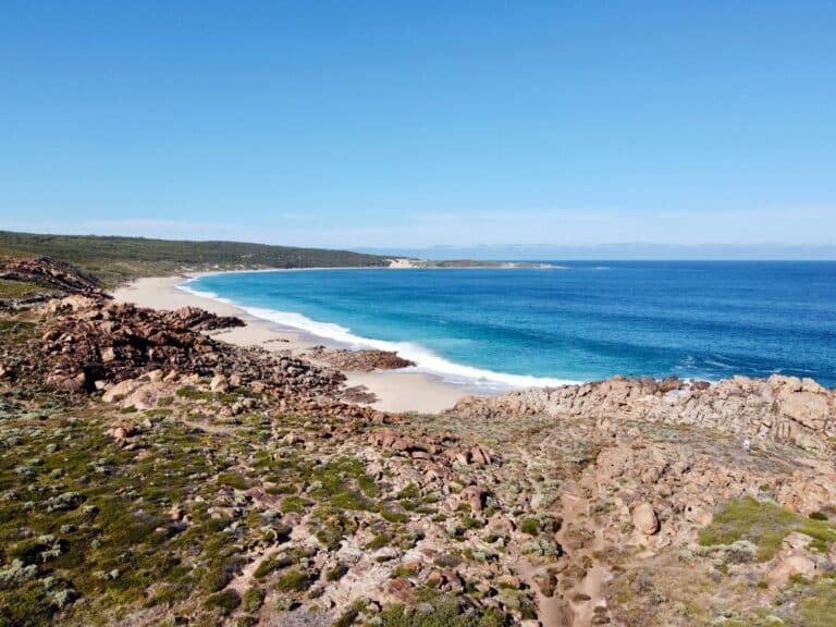 bunbury waste collection featured image