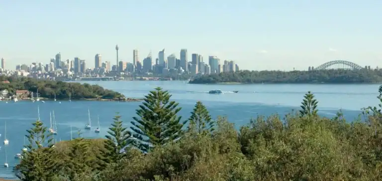 sydney waste management bin collection