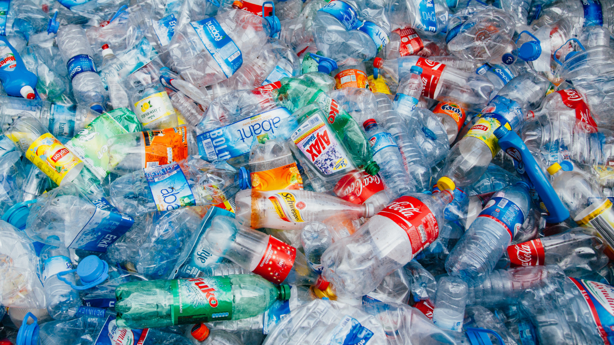 australia container deposit scheme featured image