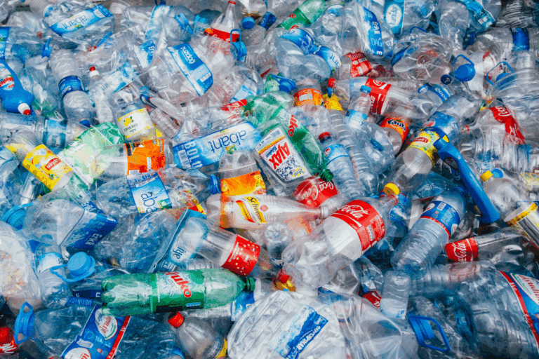 australia container deposit scheme featured image