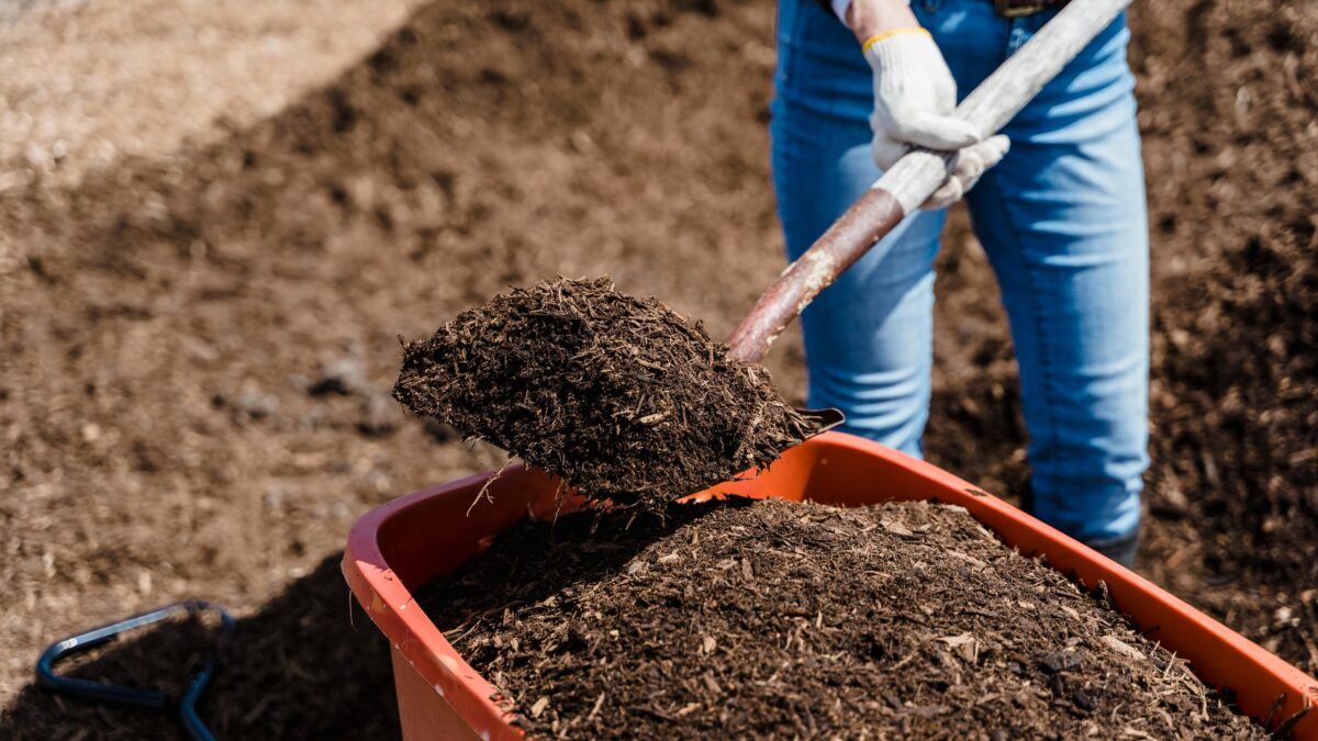 compost vs landfill featured image