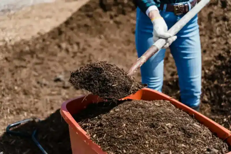 compost vs landfill: shoveling