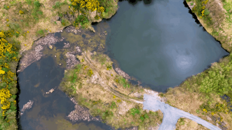 illegal dumping in derry featured image