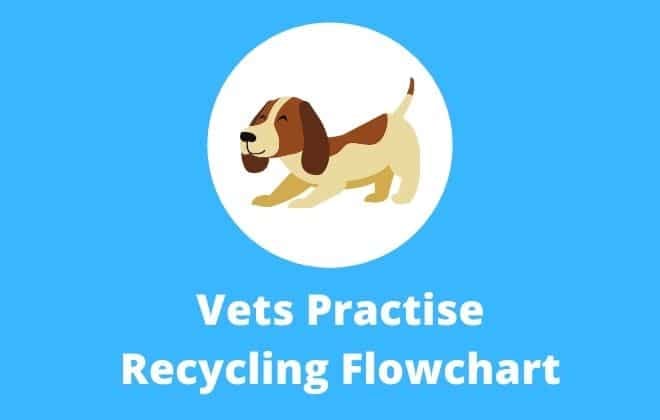 Veterinary-recycling-flowchart
