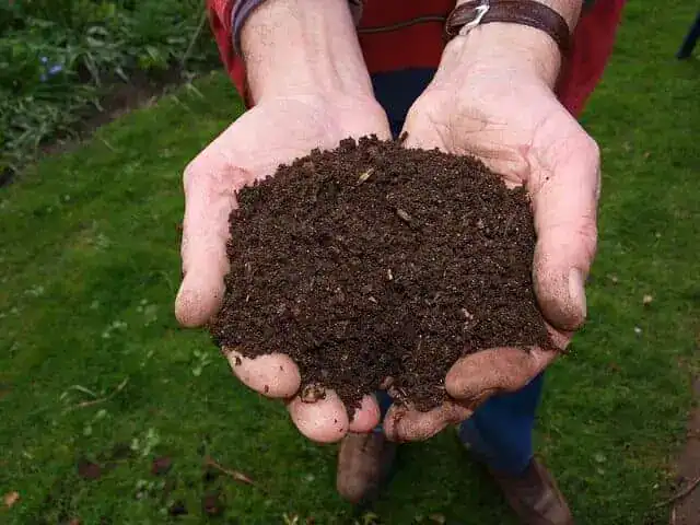 types-of-composting-large