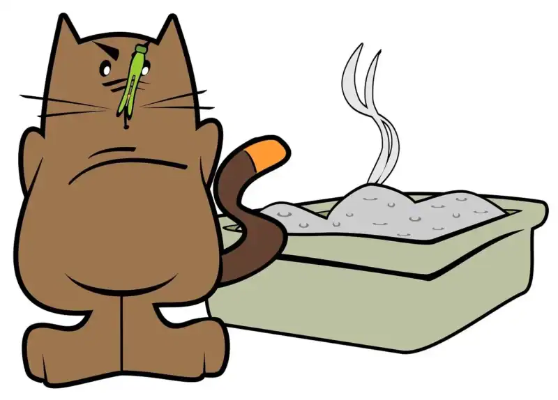 can cat litter be recycled featured image