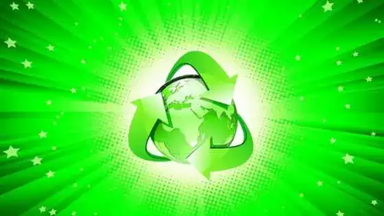 what can go in the recycling bin what can go in the recycling bin